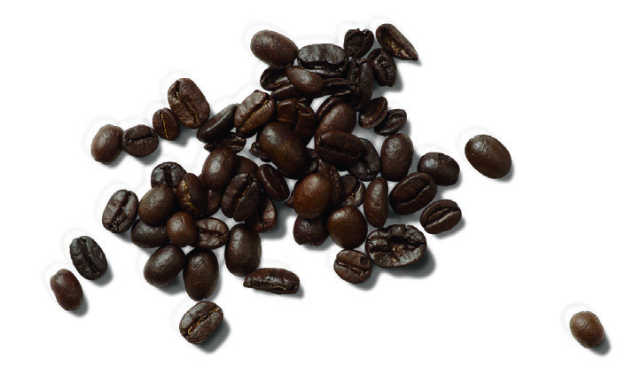Coffee Foam Milk Flavor Powder