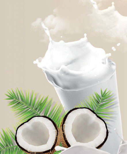Coconut Juice Flavor Powder