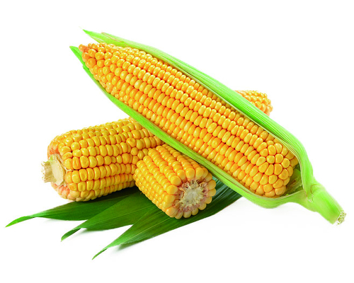 Corn Juice Flavor Powder